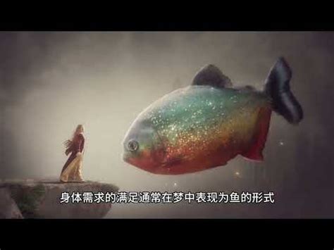 夢見很多小魚